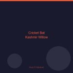 Cricket Bat Kashmir Willow